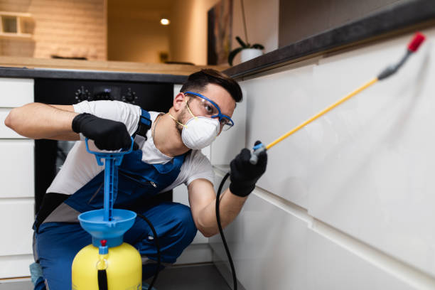 Best Termite Control Services  in Theresa, WI