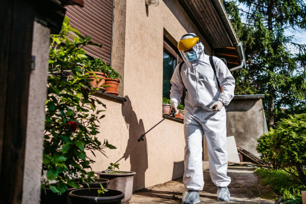 Best Pest Prevention Services  in Theresa, WI