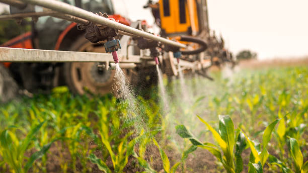 Flea Control Services in Theresa, WI